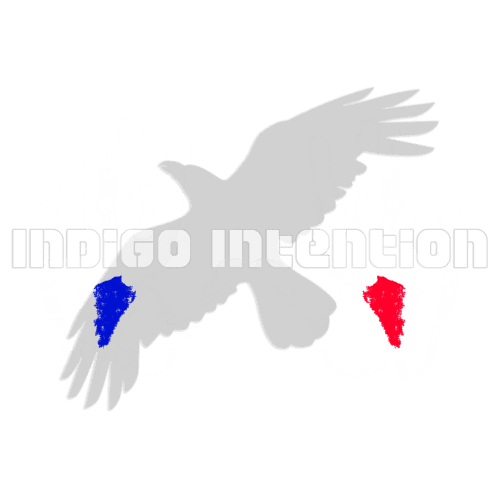 Indigo Intention - Hands Red & Blue design